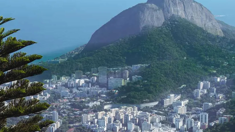 Floresta da Tijuca